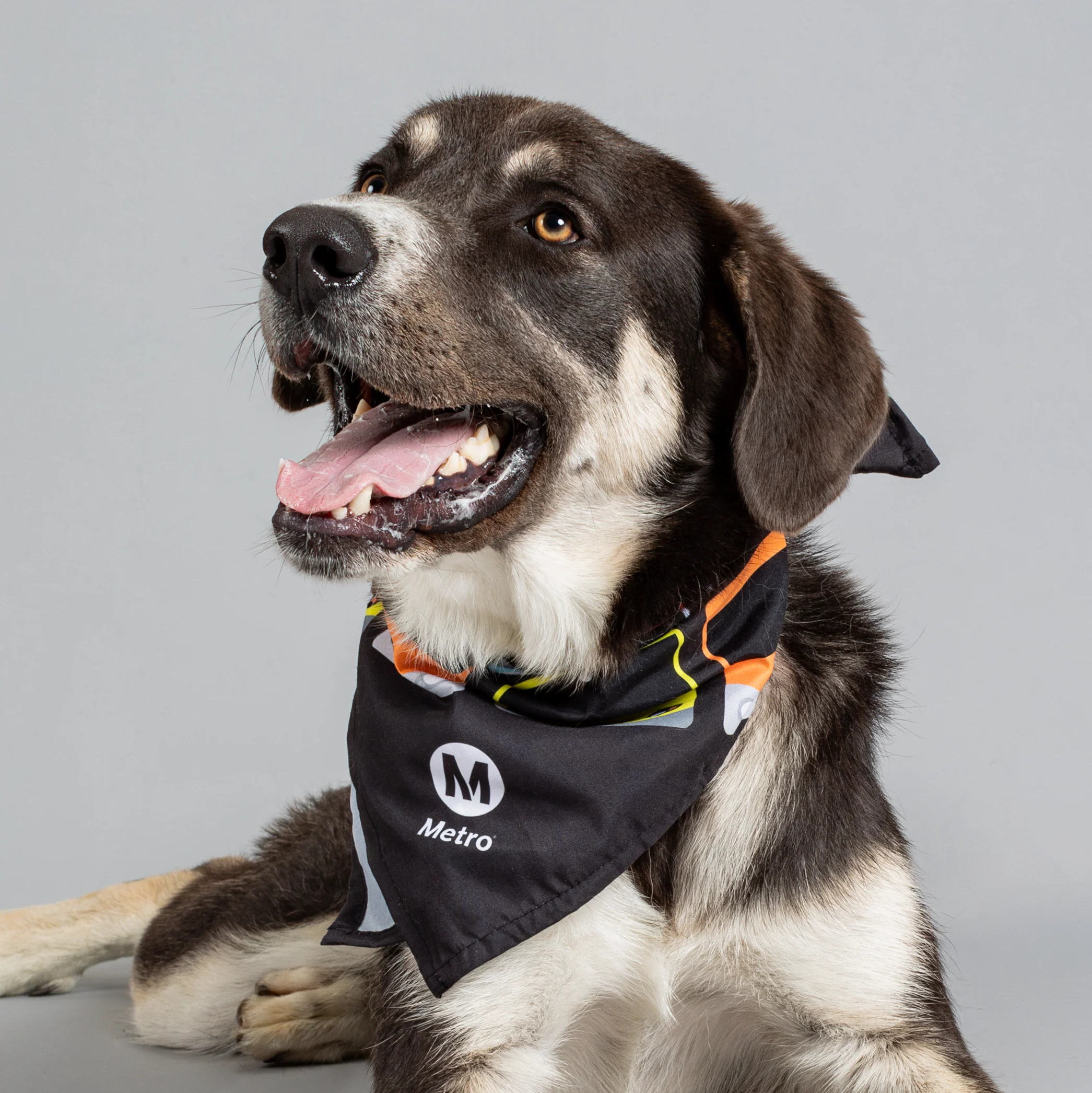 Los Angeles Metro Past and Present Pet Bandana - Image 3
